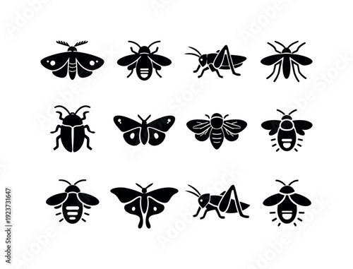Nocturnal insects. Filled icon set of Nocturnal insects: moth, firefly, cricket, mosquito,
