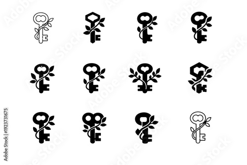 Hidden Garden. Icon set. Set Logo of Hidden Garden: key with vine. harmonious logo variations of the same emblematic concept, each with different artistic