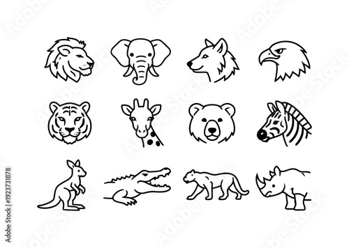 Wildlife photography. Line outline icon set of wildlife photography: lion, elephant, wolf,