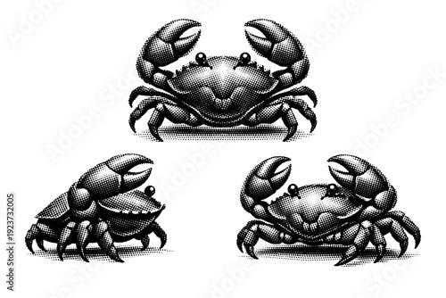 Black white halftone astrology symbol Cancer crab glyph A Cancer zodiac crab glyph symbol is depicted as a single object shown from three