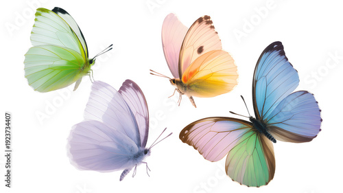 Colorful butterflies flying in various directions a white with soft natural lighting and vibrant pastel colors isolated on transparent background png