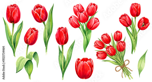 赤いチューリップのイラストパーツセット（花束・単体・麻紐ブーケ）,春の花,卒業,入学,母の日