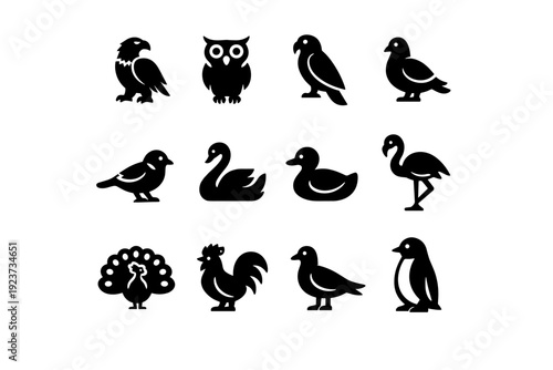 Birds. Solid icon set of birds: eagle, owl, parrot, pigeon, sparrow, swan, duck, flamingo, peacock, rooster, seagull, penguin. Filled icons set in only black