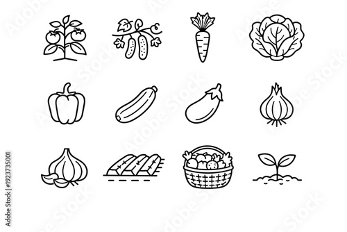 Vegetable garden. Line icon set of Vegetable garden: tomato plant, cucumber vine, carrot root, lettuce head, bell pepper, zucchini squash, eggplant, onion