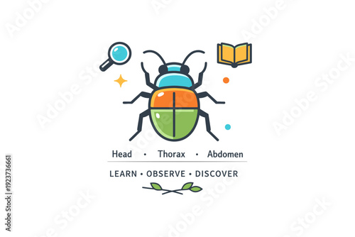 Beetle entomology minimal scientific inspired beetle illustration with clear body segments, communicating learning, observation and