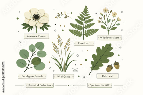 Botanical Flat Graphics. Herbarium inspired flat graphics. Botanical leaves and flowers carefully arranged like a pressed herbarium page, calm scientific and