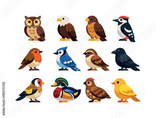 Forest birds. Colorful flat vector icons set of forest birds: owl, eagle, hawk, woodpecker, robin, jay, sparrow, crow, finch, wood duck,