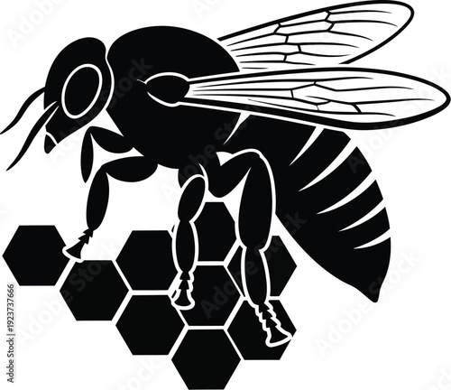 Honey bee resting on honeycomb structure, depicted as a strong black outline.