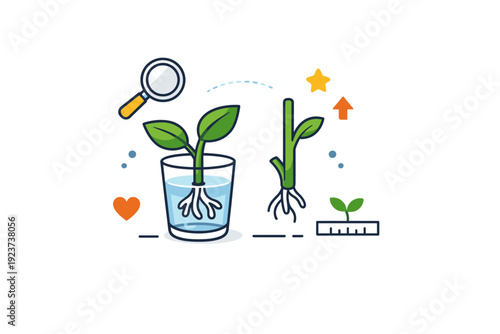Cuttings representing learning and experimentation in plant care. A simple illustration with cut stems, small roots, and gentle guide marks