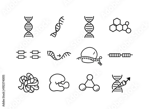Molecular Biology. Line icon set of Molecular Biology: DNA strand, RNA strand, double helix, nucleotides, base pairing, transcription symbol,