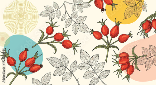 Artistic pattern of rose hip branches with bright red berries is combined with detailed sketches on a light surface for elegant design.