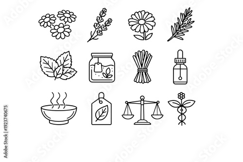 Herbal skincare remedies. Line icon set of Herbal skincare remedies: chamomile flowers, lavender sprig, calendula bloom, rosemary branch,