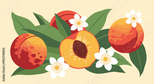 Lush peaches and delicate white blossoms with green leaves arranged in a beautiful summer fruit composition on yellow.
