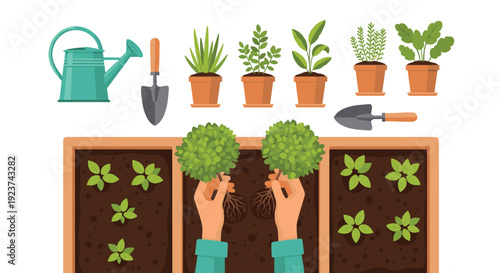 Hands holding two small green bushes with roots, preparing to plant them into a raised garden bed with sprouts.