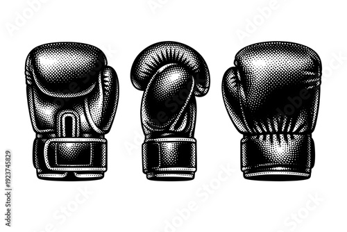 Boxing Glove Trio. Training boxing gloves A training boxing glove presented in three views emphasizing balanced proportions, thick padding, and functional