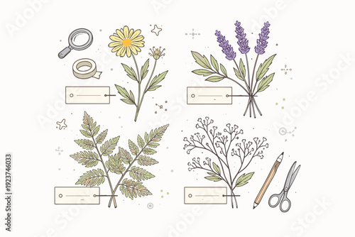 Herbarium style backgrounds. Minimal still-life of botanical samples laid out as if for documentation, with careful spacing and calm symmetry. The scene feels