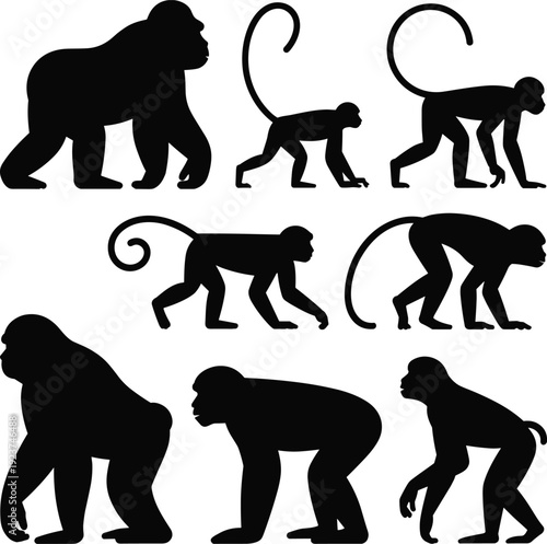 Monkey and gorilla silhouette collection isolated on white background, primate animal set in different poses, black vector illustration for wildlife and zoology design