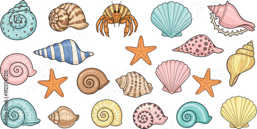 Sea shell and starfish collection set. Cute colorful marine elements with crab illustration. Hand drawn ocean icons isolated on transparent background.