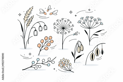 Dry plants and seeds. Seed clusters and grasses simplified into elegant silhouettes, light motion lines suggesting fragility and quiet movement. Minimalist