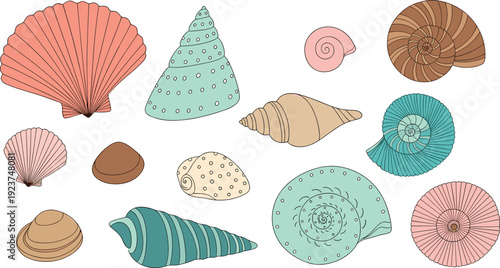 Pastel sea shell collection illustration. Hand drawn spiral, scallop and conch shells set. Cute marine elements isolated on transparent background.