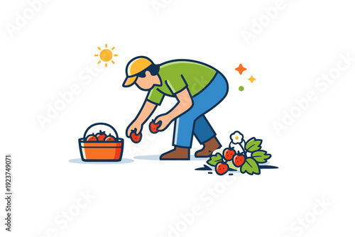 Fresh berry picking in countryside setting a simple figure bending slightly to collect strawberries into a container, symbolizing honest