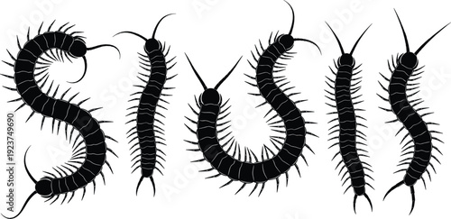 Centipede silhouette collection, creepy crawler insect vector, predatory arthropod icons, poisonous bug design elements, multi legged creature, garden pest silhouettes.