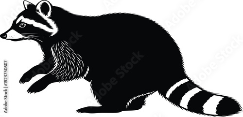 Raccoon silhouette vector illustration, wild animal nocturnal procyon mammal isolated on white background, forest wildlife nature element design for graphic projects.