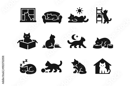 Cat lifestyle icons. Solid icon set of cat lifestyle icons: window watching cat, cat on sofa, sunbathing cat, cat climbing shelf, box sitting