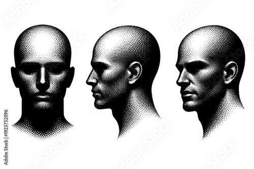 Head Silhouette Views. Head silhouette a human head with slightly elongated skull shown in frontal view clean profile view and angled view emphasizing forehead