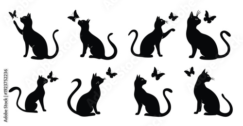 black cat silhouettes play with butterflies in a playful