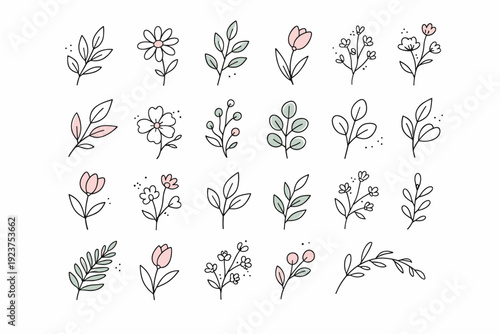 Editorial botanical line set. Collection of minimal leaves, flowers, and stems drawn as simple linear icons and accents. Versatile calm style