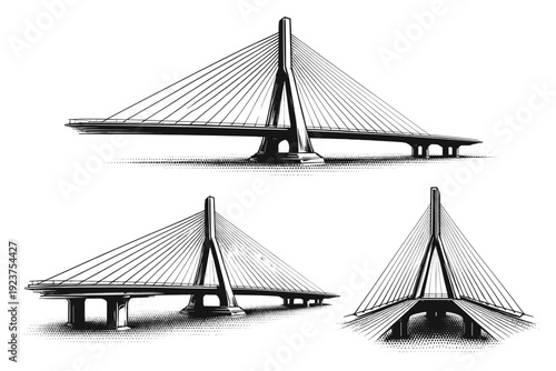 Bridge structure cable-stayed bridge. A modern cable-stayed bridge with a central pylon, radiating tension cables, and streamlined deck