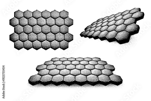 Hex pattern surface with uniform dotted hex cells shown from front view, angled side view, and three-quarter perspective as a single object set with realistic