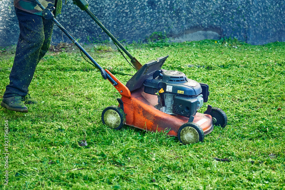 Obraz premium Grass cutting on green lawns with mini handle lawn mower