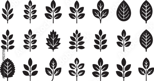 Set of various green leaf illustrations with different shapes and vein patterns isolated