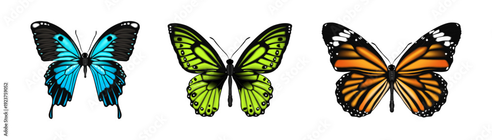 Obraz premium Butterflies with bright colorful camouflages, isolated nectar feeding insects set. Vector realistic small creature with wings and antennae. Moth nature and fauna biodiversity of surroundings