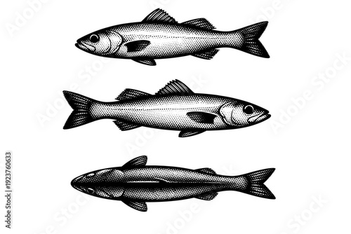 Fish minimal object resting pose with straight body alignment and relaxed fins shown in three side-based views. Black and white dot style