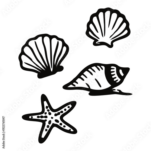Ocean Seashells and Starfish Marine Life Illustration