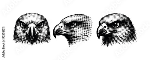 Three detailed black and white halftone illustrations of an eagle's head from different angles