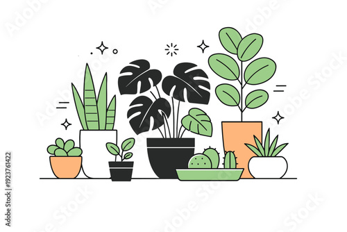 Indoor plant arrangements. Abstract layout of houseplants grouped by size and shape. Visual harmony with leaves, pots, and simple geometric