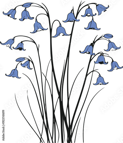Minimalist natural floral vector sticker of bluebell flower stem cluster, bold black thick clean outline, pure white background 2
