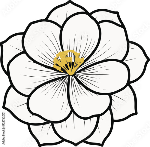 Minimalist natural floral vector sticker of camellia flower bloom, bold black thick clean outline, pure white background 3