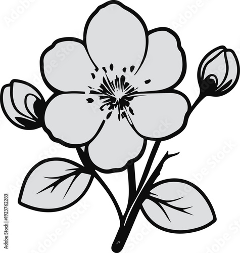 Minimalist natural floral vector sticker of cherry blossom flower, bold black thick clean outline, pure white background 2