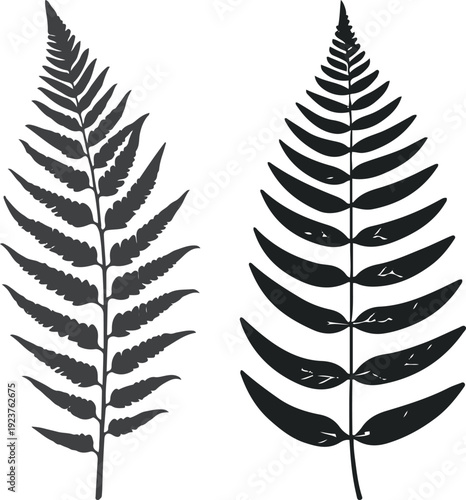  Minimalist natural floral vector sticker of fern frond leaf, bold black thick clean outline, pure white background