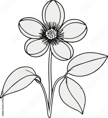 Minimalist natural floral vector sticker of hellebore flower with leaves, bold black thick clean outline, pure white background 2