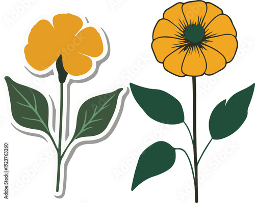 Minimalist natural floral vector sticker of marigold flower head with leaves, bold black thick clean outline, pure white background
