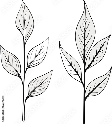 Minimalist natural floral vector sticker of tea leaf sprig, bold black thick clean outline, pure white background