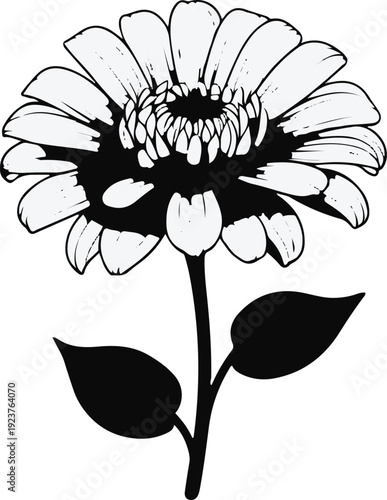 Minimalist natural floral vector sticker of zinnia flower bloom, bold black thick clean outline, pure white background 1