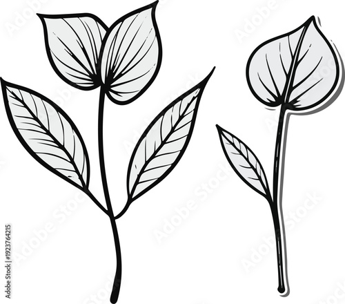  Minimalist natural floral vector sticker of anthurium flower with leaf, bold black thick clean outline, pure white background
