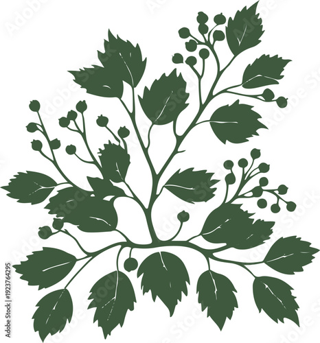  Minimalist natural floral vector sticker of berry branch with leaves, bold black thick clean outline, pure white background 1